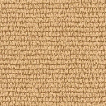 Papier peint  Nature - Roots