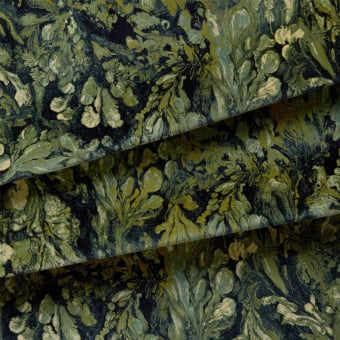 Velours Lichen