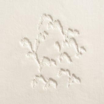 Hillevi fabric
