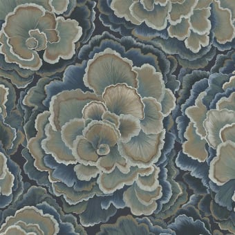 Trametes panoramic wallpaper
