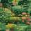 Lush Eden Wallpaper Montecolino Émeraude HO127924