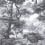 Carta da parati Foreste di nebbia Montecolino Cendre HO127930