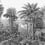 Secret Palm Grove Panoramic Wallpaper Montecolino Graphite HOD128589