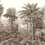 Secret Palm Grove Panoramic Wallpaper Montecolino Chamois HOD128625