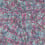 Papier peint panoramique Draped Tartan Cole and Son Cyan / Magenta 130/2006