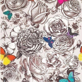 Papier peint Butterfly Garden Multicolore Osborne and Little