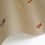 Wandverkleidung Forma Nobilis Raffia STL51