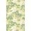 Bourlie Wallpaper Cole and Son Acacia 99/4021