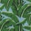 Tissu Cocoa Beach Nobilis Vert 10544.74