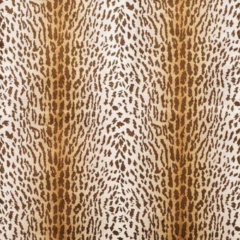 Terciopelo Pantanal