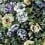 Velours Bloomsbury Rose Designers Guild Indigo FDG2355/01