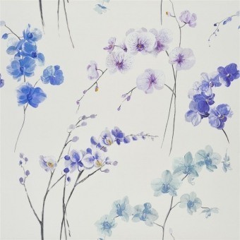 Tela Orchidea