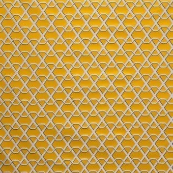 Ribon Fabric
