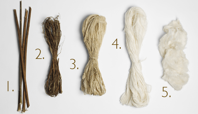 La Ramie, une fibre textile aux multiples facettes - Blog