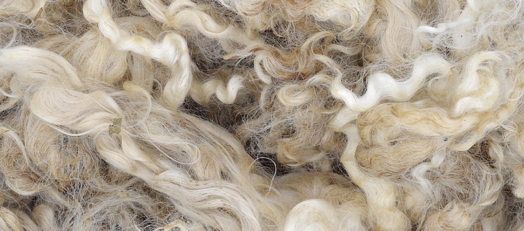 Mohair Brut