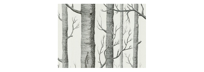 Into the woods