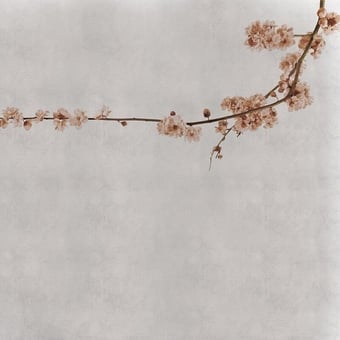 Blossom Branch Panel Pink Coordonné