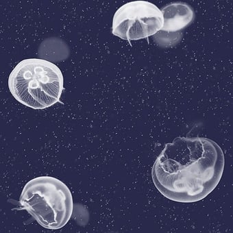 Papier peint Jellyfish Black Coordonné