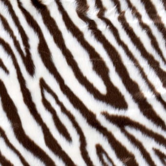 Zebre Throw 150x200 cm Nobilis