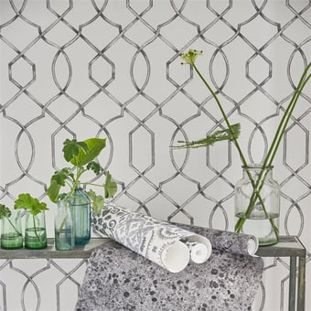 Papel pintado Rabeschi Black/White Designers Guild