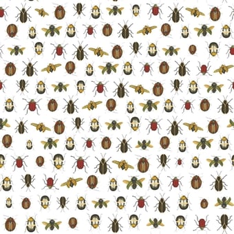 Coleopter Wallpaper Blanc Tres Tintas Barcelona