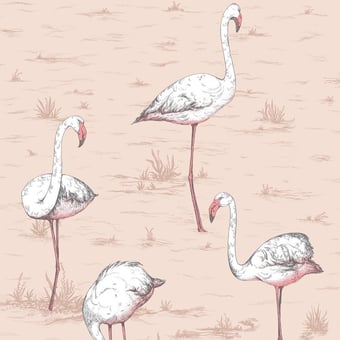 Papel pintado Flamingos Rose Cole and Son