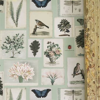 Carta da parati Flora And Fauna Parchment John Derian
