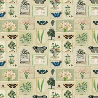 Tessuto Flora And Fauna Parchment John Derian