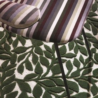 Tappeti Bosquet Roseau 160x260 cm Christian Lacroix