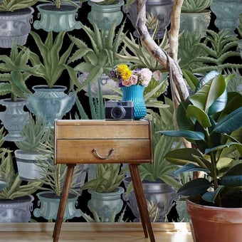 Echeveria Panel Green/Black Mindthegap