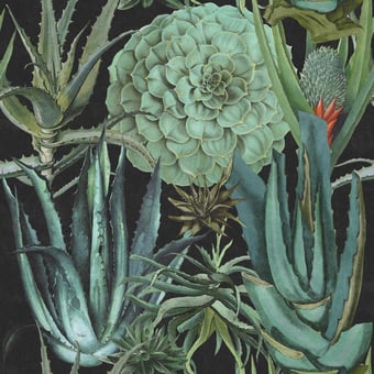 Panoramatapete Succulentus Green/Anthracite Mindthegap