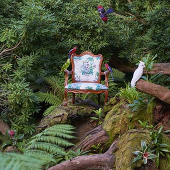 Lemur Fabric Jungle Clarke and Clarke