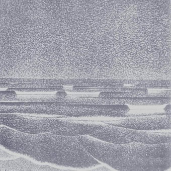 Carta da parati murale Fluorescent Sea Midnight M.C. Escher