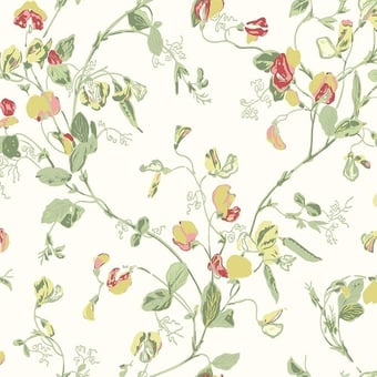 Papier peint Sweet Pea Ocre/Rose Cole and Son