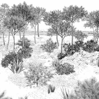 Panoramatapete Dune Gris 150x330 cm - 3 lés - côté gauche Isidore Leroy