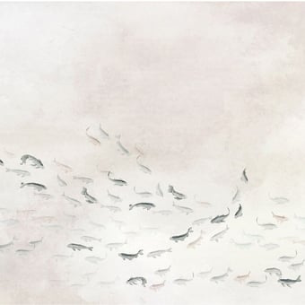 Koi Panel Light Coordonné