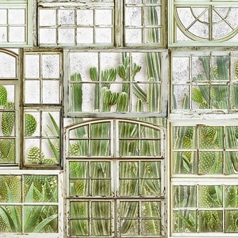 Papier peint panoramique Window Flora Fresh Coordonné