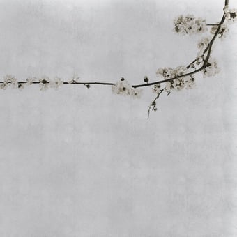 Blossom Branch Panel Pink Coordonné