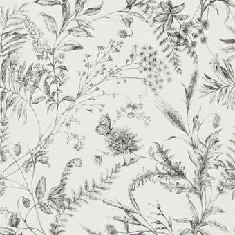 Papel pintado Fern Toile Drawing Ralph Lauren