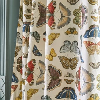 Tela Mirrored Butterflies Parchment John Derian