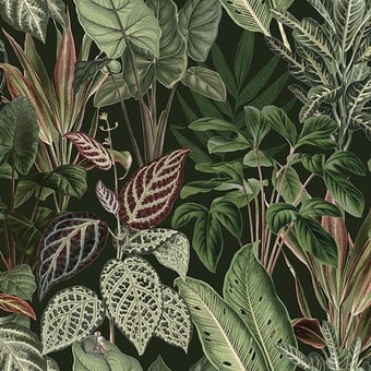 Mischievous Monkeys Panel Verdant Rebel Walls