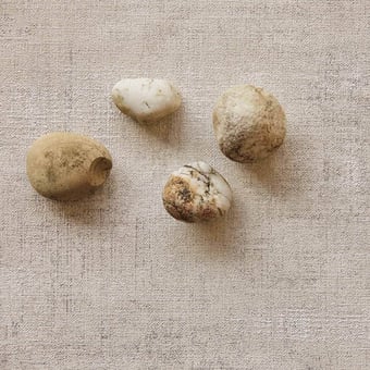 Patina Wallpaper Cream Eijffinger