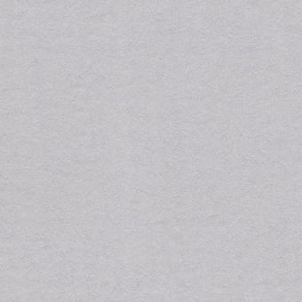 Tamaris Wallpaper Grey/Silver Eijffinger