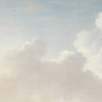 Carta da parati murale Dutch Sky Stripe Paste/Blue Eijffinger