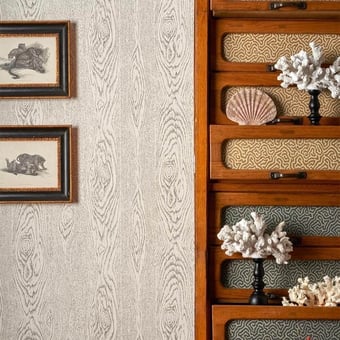 Wood Grain Wallpaper Lait Cole and Son