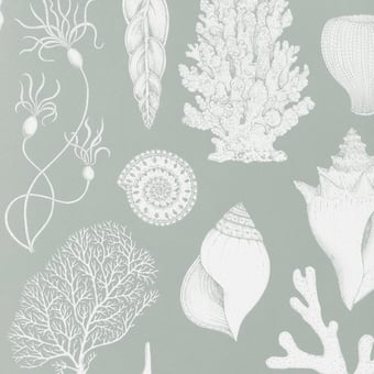 Shells Wallpaper Aqua Ferm Living