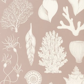 Shells Wallpaper Aqua Ferm Living