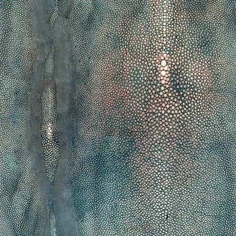 Papier peint Précieux Cuivre Jean Paul Gaultier