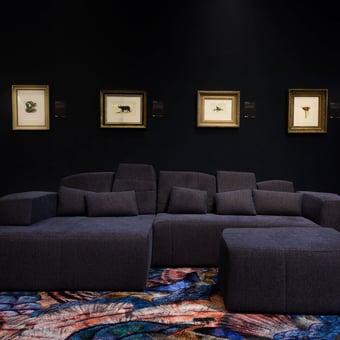 Alfombras Calligraphy Bird diámetro 250cm MOOOI