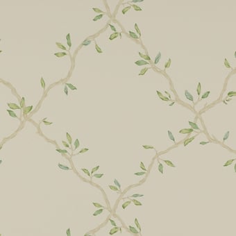 Carta da parati Leaf Trellis Pale Green Colefax and Fowler